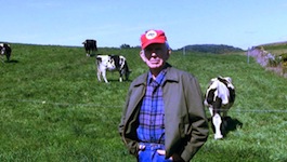 John Kinsman Farm Cows.jpg