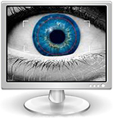 Eye in Monitor-for-SW-banner.jpg