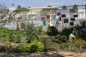 A photo from EMA's Westminster Avenue Elementary School "organic" garden includes a bag of Kellogg's sewage sludge-based Amend